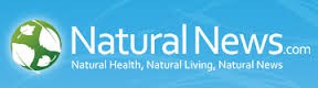 Medicinal mushrooms like reishi, maitake can help fight cancer 
