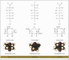 Ganoderma lucidum polysaccharides can induce human monocytic leukemia cells into dendritic cells with immuno-stimulatory function