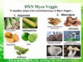 Τα οφέλη από το MycoVeggie ε Επιγραμματικά